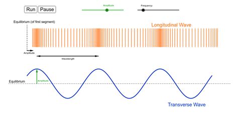 Describe evidence that when waves are moving, it is the wave that moves not the medium. wave simulation with longitudinal and transverse waves ...