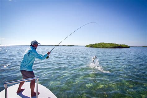 Day Trips And Cuba Diy Fishing Moldy Chum