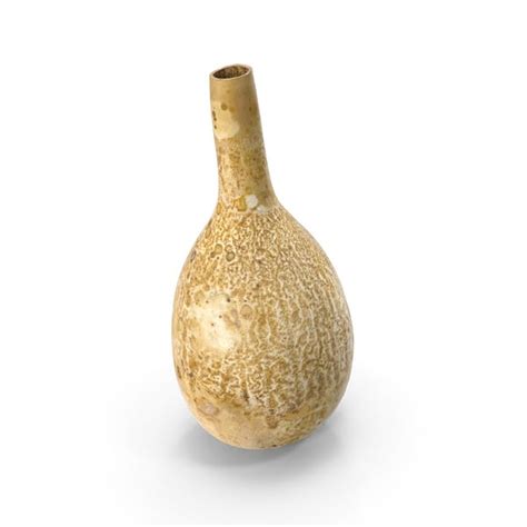Gourd Water Container Calabash By Pixelsquid360 On Envato Elements