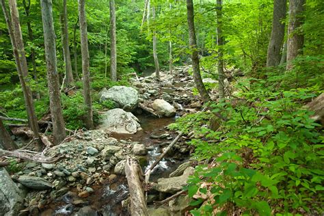 12 Best Hikes In Shenandoah National Park The Planet D