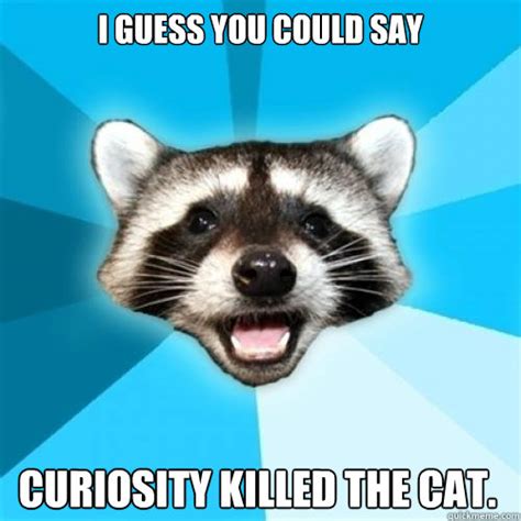 I Guess You Could Say Curiosity Killed The Cat Lame Pun Coon On