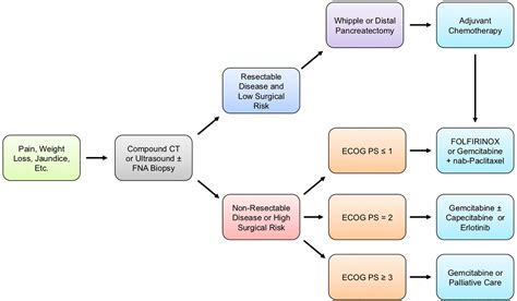 Frontiers The Current Treatment Paradigm For Pancreatic Ductal