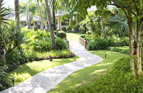 30 Spectacular Backyard Palm Tree Ideas Home Stratosphere