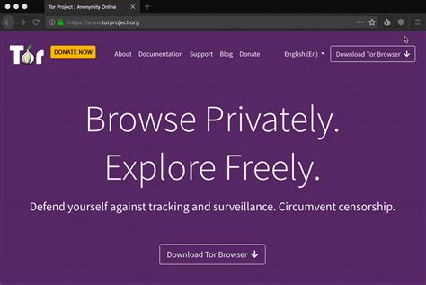 what is tor browser how to access tor browser safely