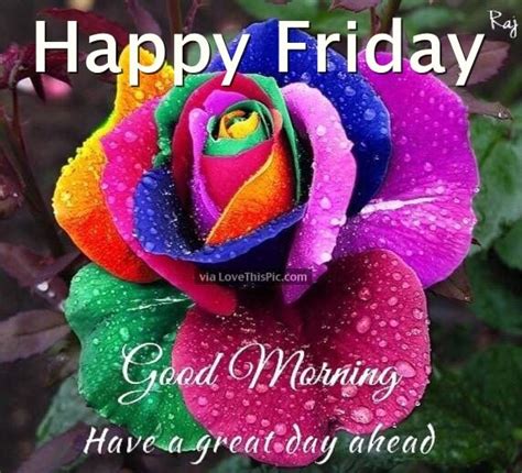 Happy morning wishing you a wonderful friday. Good Morning Wishes On Friday Pictures, Images