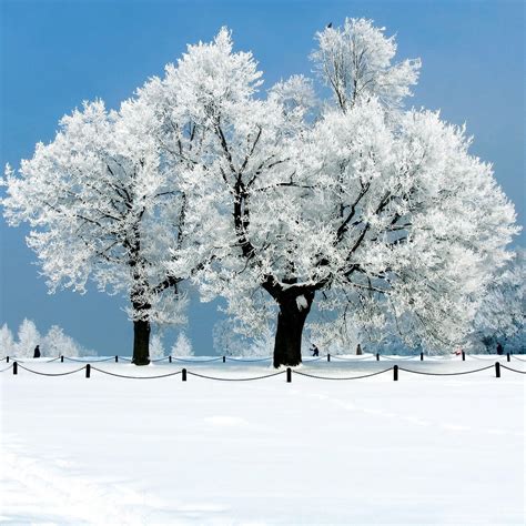 49 Beautiful Snow Scenes Wallpapers Wallpapersafari