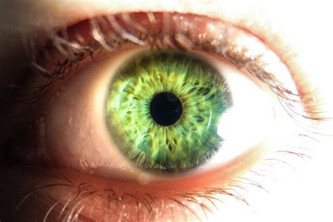 This Is What Your Eye Color Reveals About You David Avocado Wolfe