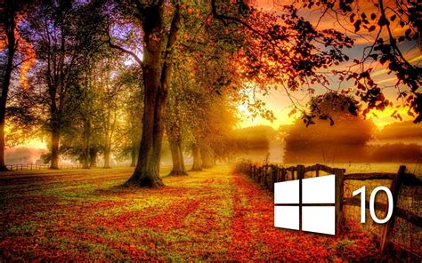 Windows 10 in the fall simple logo wallpaper - Computer wallpapers - #46861