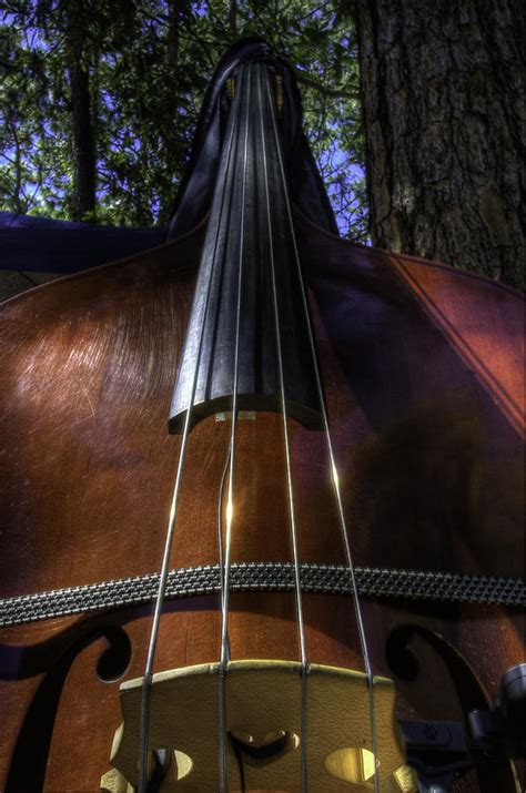 Bass Fiddle Photograph By Jay Droggitis Fine Art America