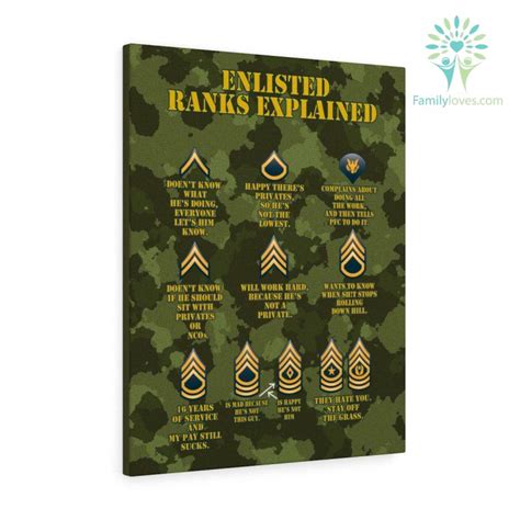 Enlisted Ranks Explained Military Canvas