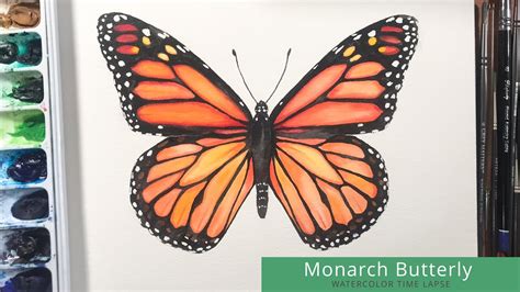 Monarch Butterfly Watercolor Painting Time Lapse Youtube