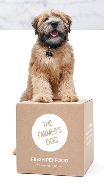 Commercial dry pet food is produced through a high heat process called extrusion which creates a uniform end product known as. The Farmer's Dog Review & $100 Giveaway • Steamy Kitchen ...