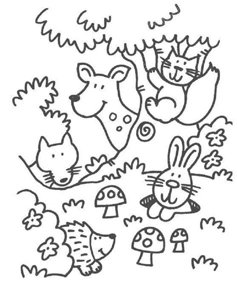 Forest Animals Coloring Pages Printable Coloring Pages
