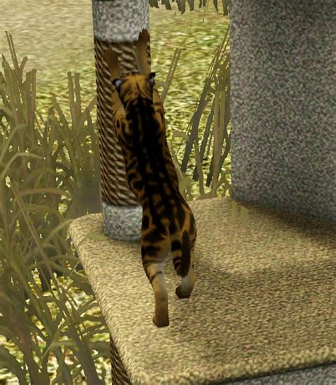 Mod The Sims Cheetah The Fastest Land Animal On Earth