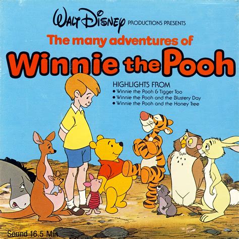 The Many Adventures Of Winnie The Pooh Disney Channel