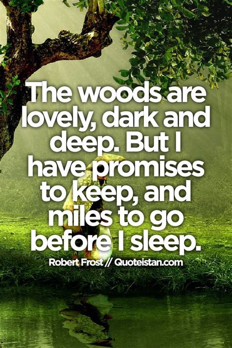 The Woods Are Lovely Dark And Deep But I Have Promises To Keep And