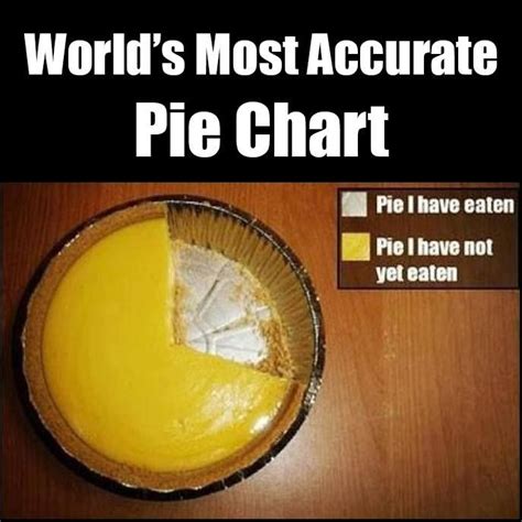 Worlds Most Accurate Pie Chart Via Marco Marletta Funny Pie Charts