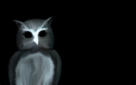 Creepy Dark Scary Owls 1280x800 Wallpaper High Quality