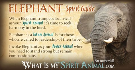 Elephant Spirit Totem And Power Animal Symbolism And Meaning What Is