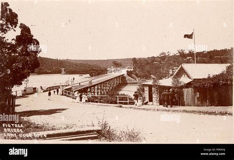 278 Slnsw 796523 Figtree Bridge Lane Cove Stock Photo Alamy