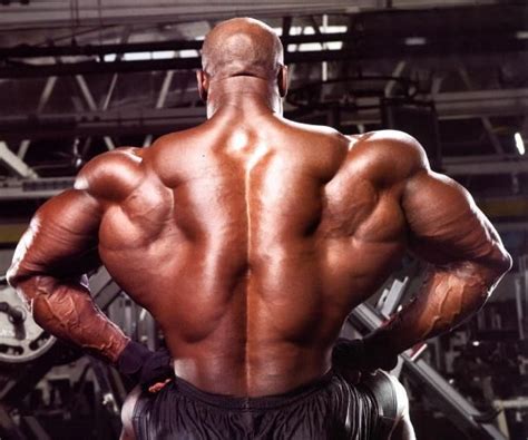 Жоэль Стаббс Joel Stubbs Best Muscle Building Supplements Back