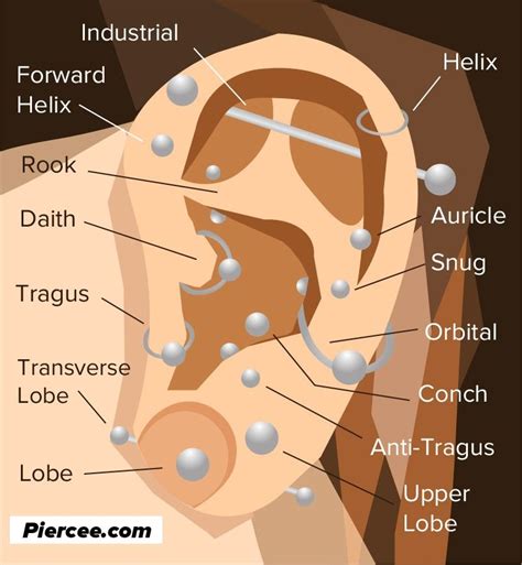Ear Piercings Pain Chart Example Calendar Printable