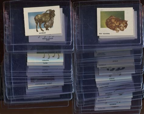 Lot Detail 1951 Topps Animals Complete Set Of 100 Cards