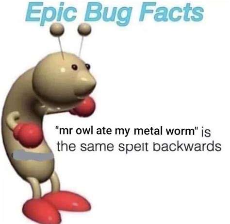 Epic Bug Facts Rmemes