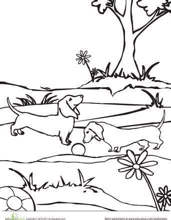 Coloring page of puppy, cat, sparrow bird, dog booth, clover flowers and butterflies. Color the Dachshund Dogs | Worksheet | Education.com ...