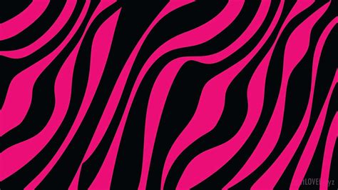 100 Pink Zebra Wallpapers