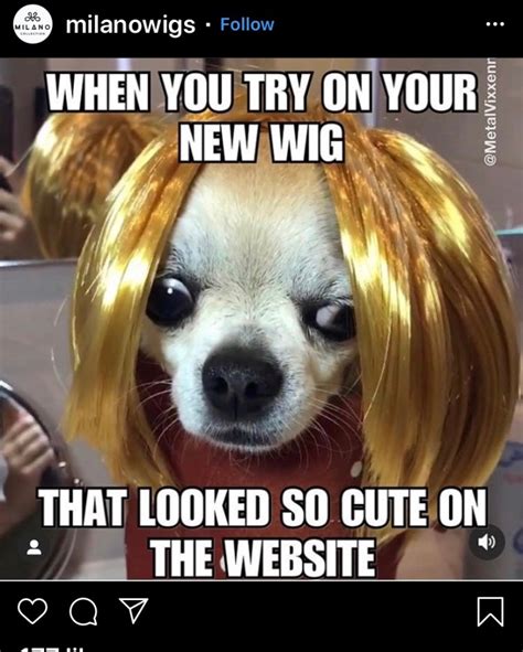 20 Really Funny Wig Memes That Made Us Lol Hair Highway