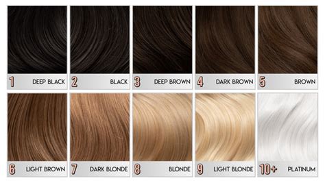 hair level color chart