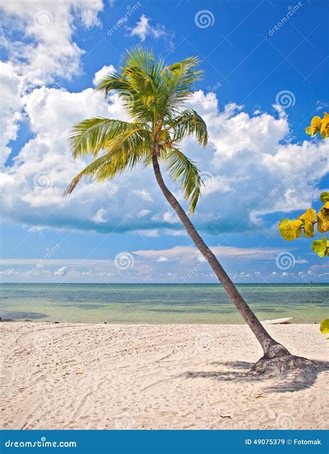 Summer At A Tropical Beach Paradise In Florida Stock Image Image Of