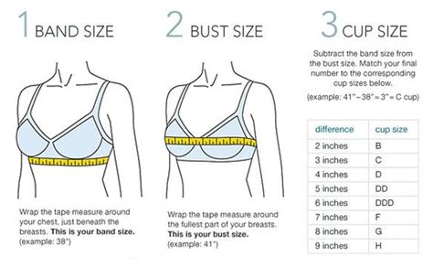 Help How To Measure For Right Bra Corset Size Guides And More