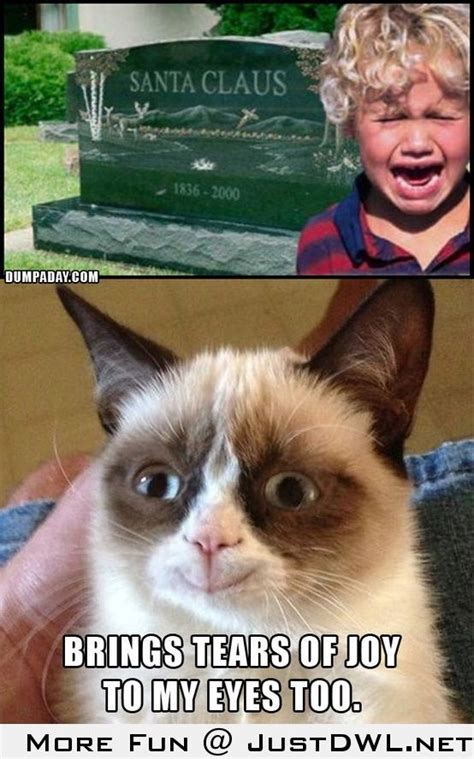 Lol Grumpy Cat Funny Grumpy Cat Memes Grumpy Cat Humor Grumpy Cat