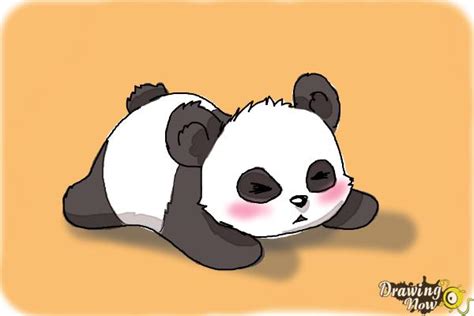 cute panda drawing step by step