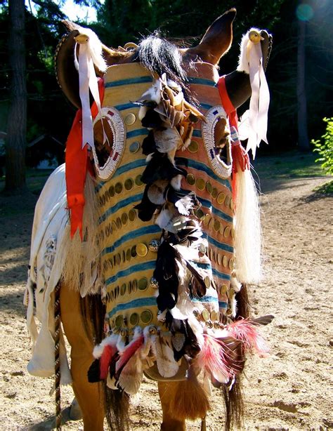 White Wolf Amazing Native American Nez Perce Horse Regalia By
