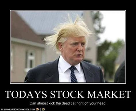 Funny Pictures And Memes From The Stock Market Trademetria