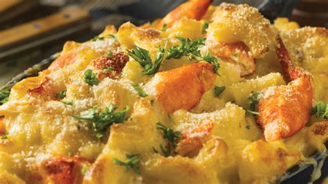 Crockpot Lobster Breakfast Casserole Get Maine Lobster