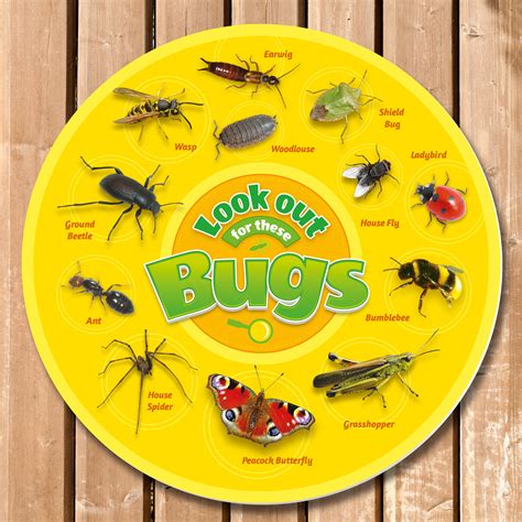 Bug Identification Sign Circular Perfect For School Nature Areas