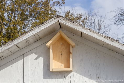 Barn Swallow Birdhouse Plans