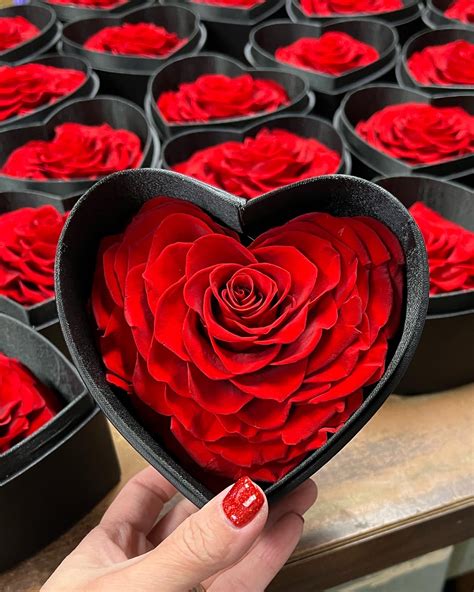 Preserved Rose In Heart Box Red By Hiltons Flowers