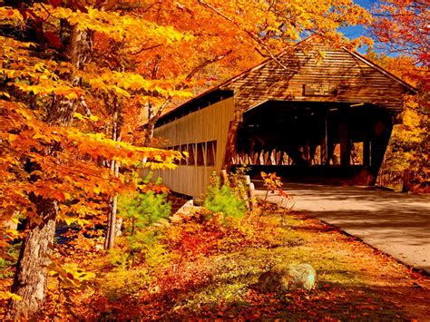 Autumn Wallpaper Bridge
