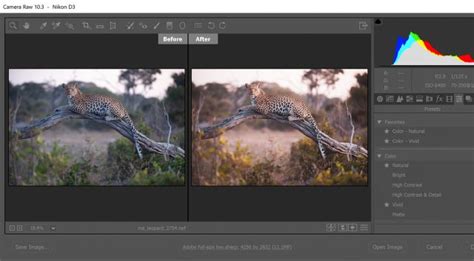 A single app to import, convert, organize, edit, and export image these are now commonly called lightroom classic and lightroom cc respectively. Купити Adobe Photoshop Lightroom ліцензію в інтернет ...