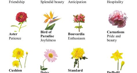 You'll be glad you did when it comes time to choose the best flowers for her! language of flower: different types of flowers