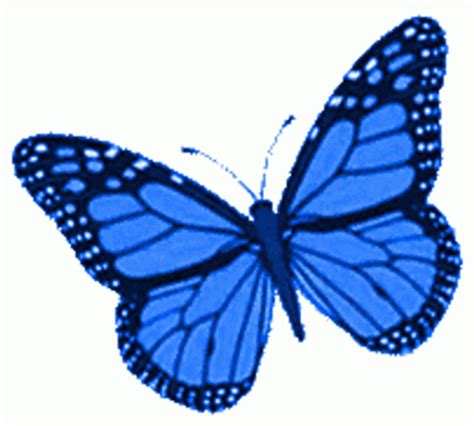 Borboletas Blue Butterfly Flapping Wings Stickers 