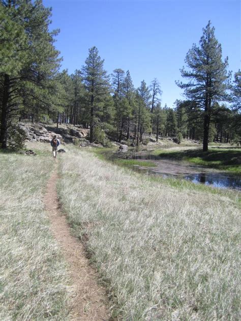 The Best Short Day Hikes In Flagstaff Arizona Wanderwisdom