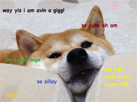 Image 594611 Doge Know Your Meme