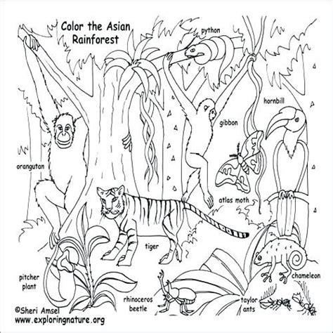 100+ Coloring Pages Of Animal Habitats