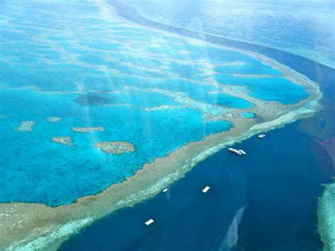 Fun Great Barrier Reef Facts